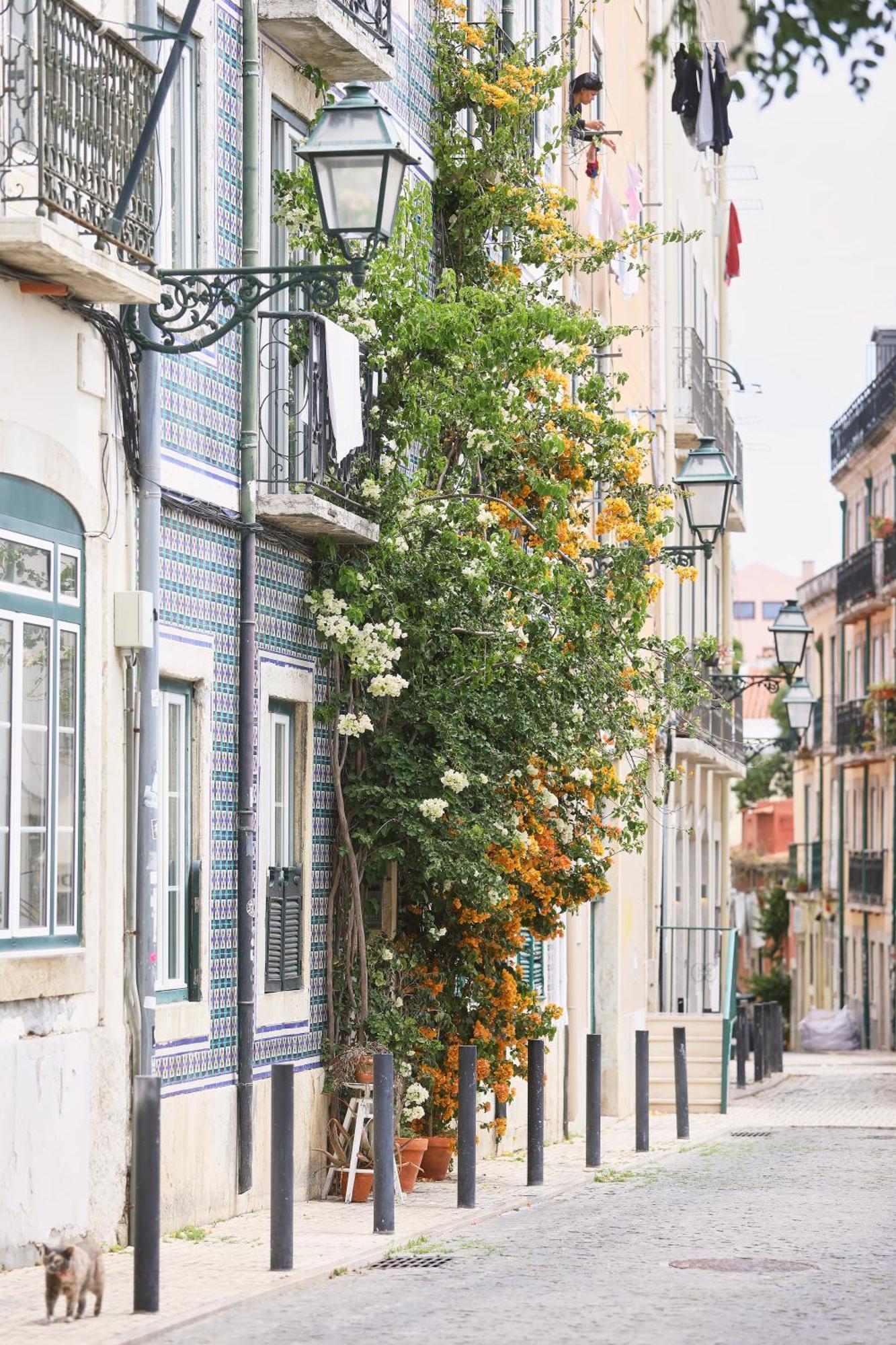 Bica Little House Apartment Lisbon Room photo